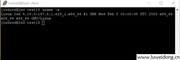 centos8中运行asp.netCore应用程序